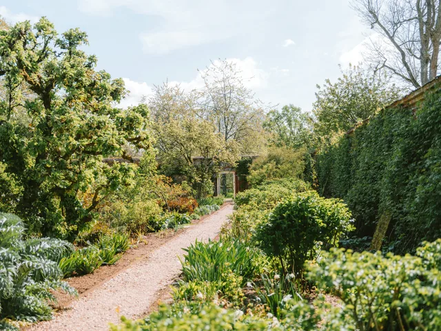 A winding path through layered green planting